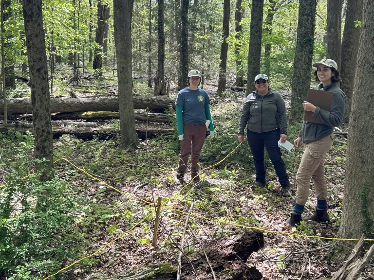 SVT's Elise Brown, Kristin O'Brien, and Jane Maloney led a protocol training session at Cowassock Woods in early May..
