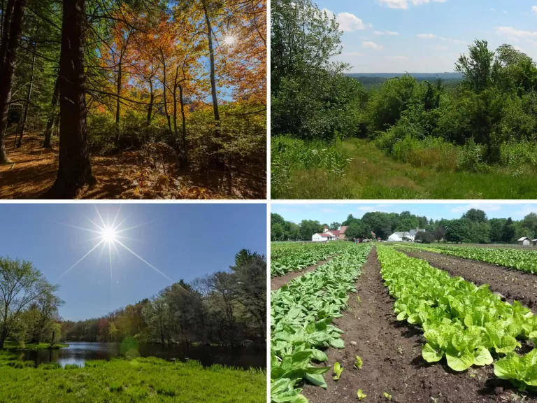 SVT has helped to protect more than 8,000 acres of natural areas and farmland since our founding in 1953.