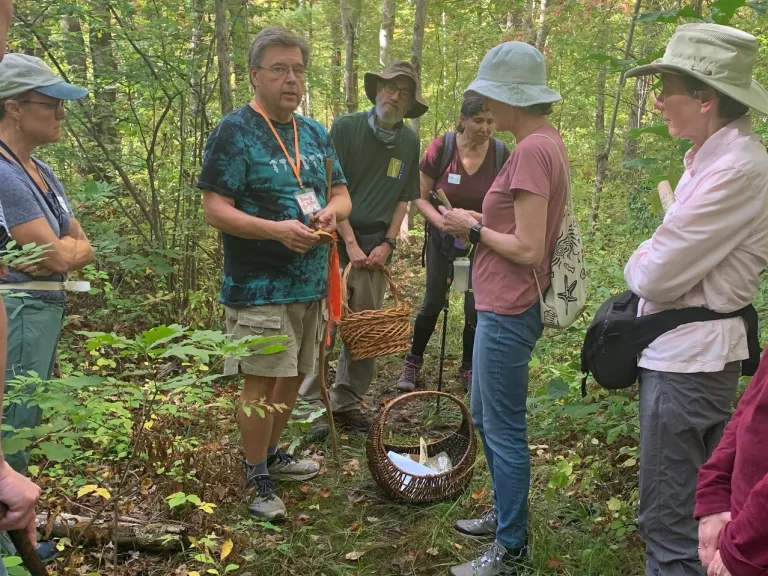 SVT Mushroom Walk Led by David Babik
