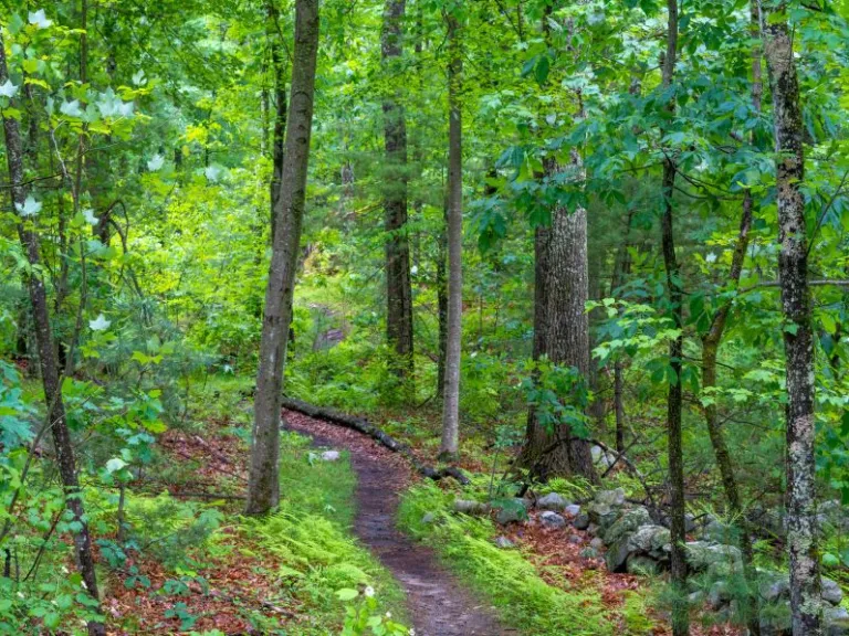Nobscot Hill Property. Photo by Louis Calisi.