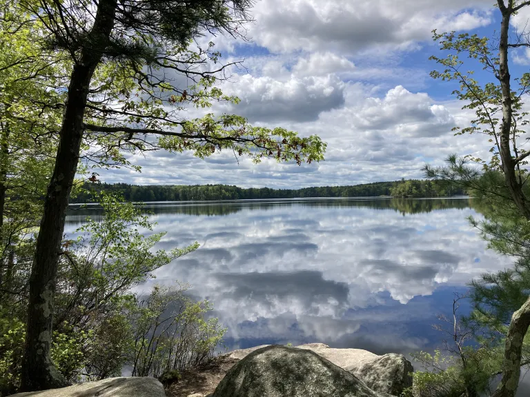 View of Whitehall Reservoir from Laurel Ridge. Photo by SVT.