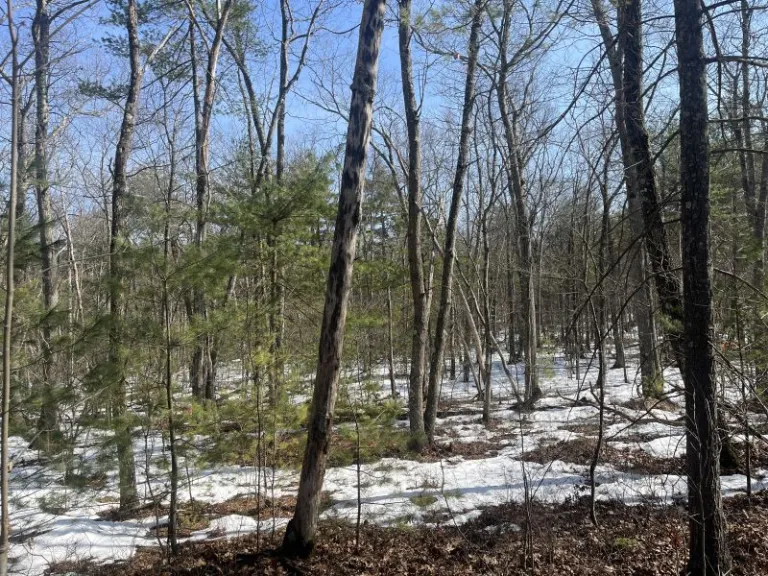 Matthews Property. Photo by SVT Staff.