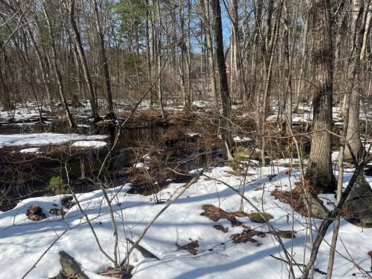 Matthews Property, Forty Caves Expansion-Winter Wetlands. Photo by Staff.