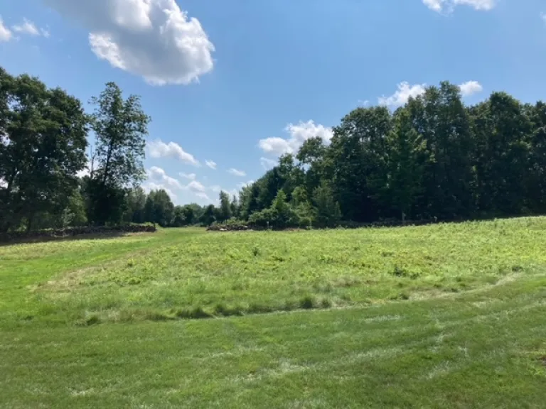 David's Meadow in Shrewsbury is protected with a conservation restriction. 