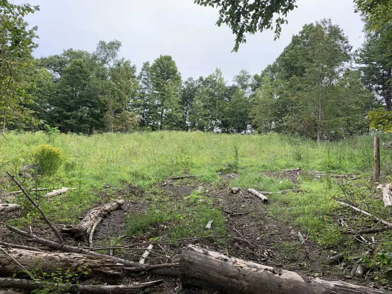 Smith Conservation Area Restoration Project September 2024