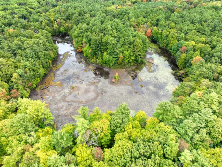 Horseshoe Pond from Drone View. Photo by Tom Sullivan.
