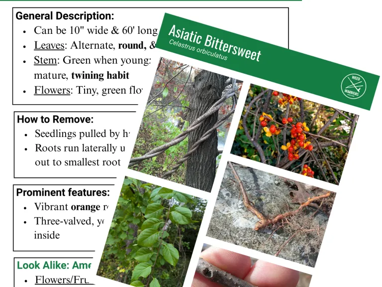 CISMA Weed Warrior Card