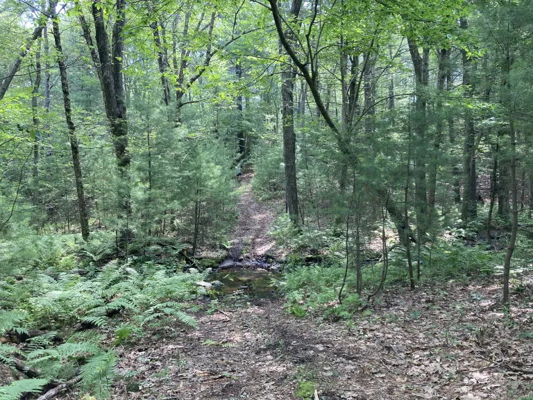 Walker Property, Westborough