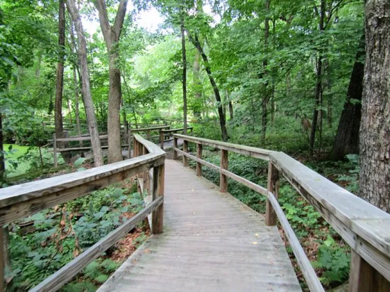 Accessible Boardwalk Trail