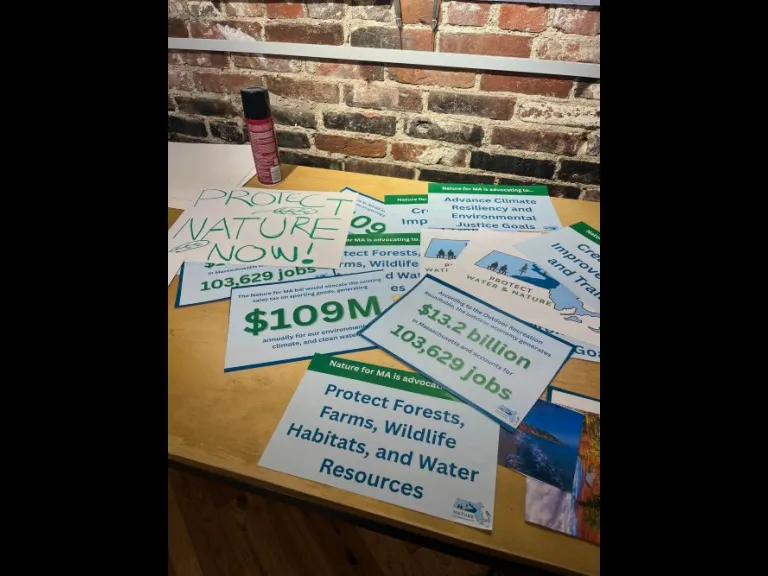 These signs were used by members of the Nature for Massachusetts Coalition during a rally at the Massachusetts State House in December 2025.