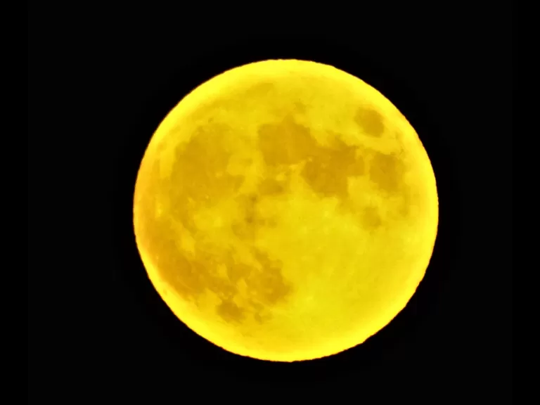 The Moon over Bare Hill Pond in Harvard, photographed by Robin Right.