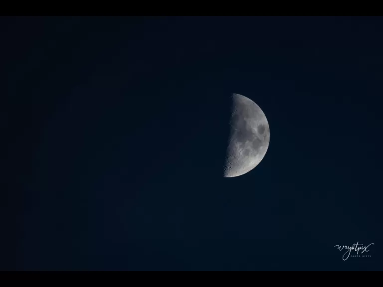 The Moon over Westborough, photographed by Nancy Wright.