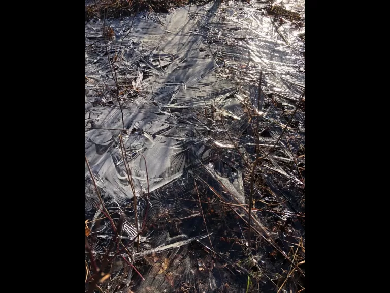 Patterns in ice, photographed along Crane Swamp in Northborough by David Morgan.