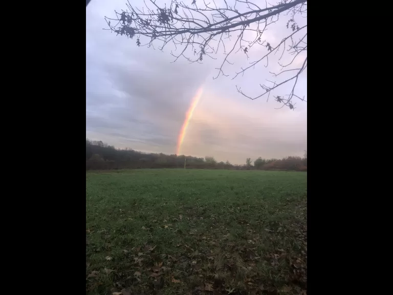 A rainbow in Harvard, photographed by Steve Cumming.