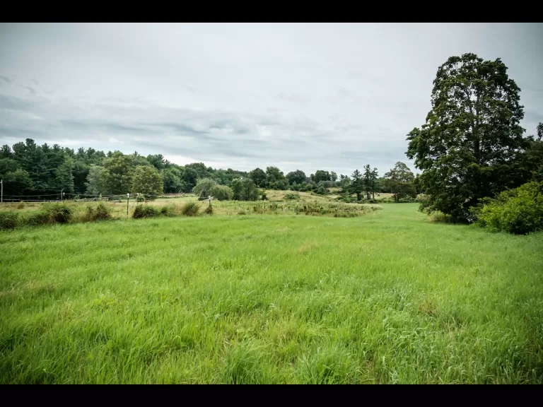 Photo by Brent Mathison