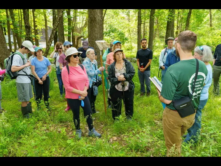 Photo by Dany Pelletier