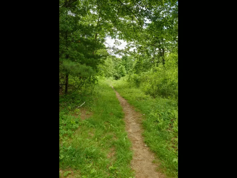 O'Donnell Property. Photo by Dany Pelletier.