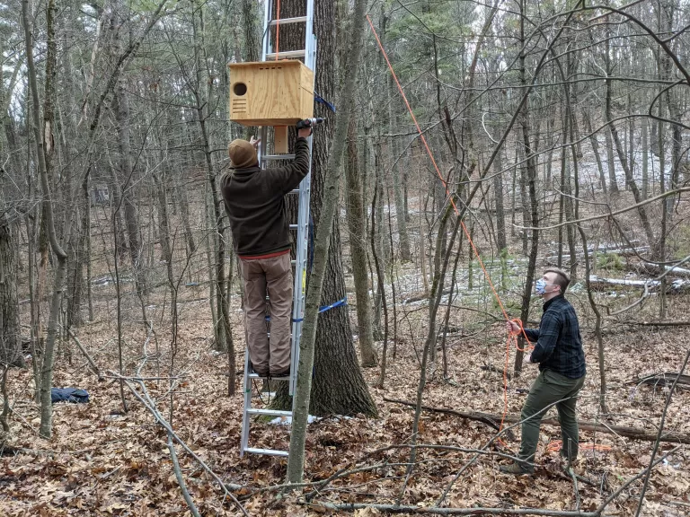 SVT's Dan Stimson and Matt Morris installed the owl boxes at SVT headquarters.