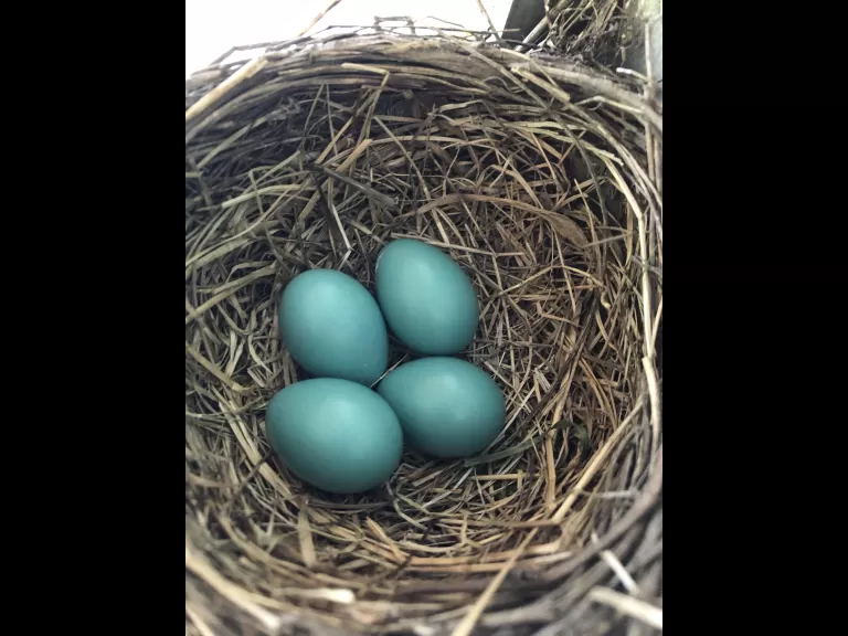 Photo by Pam Keeney.