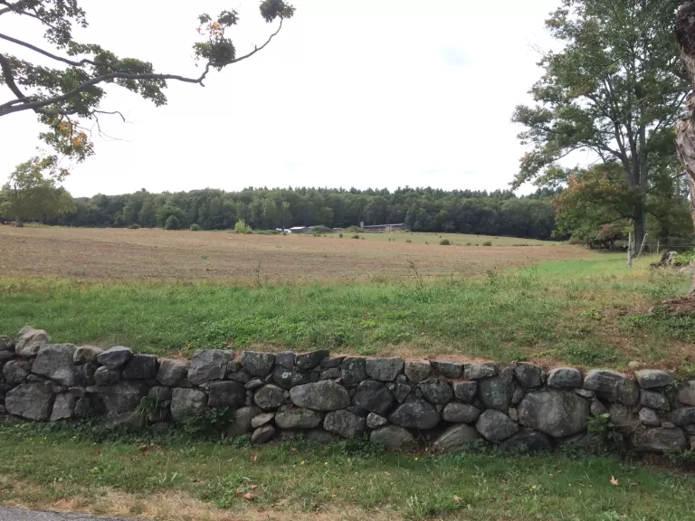 Mainstone Farm with Stone Wall, Wayland