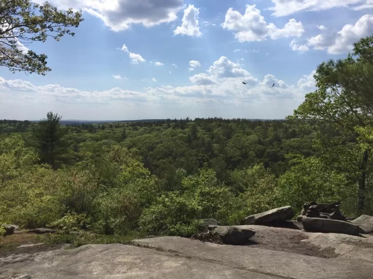 The view from atop the Kelly Property