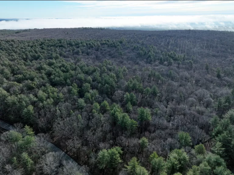 Drone view of Mount Pisgah Conservation Area. Photo by M. Sullivan.