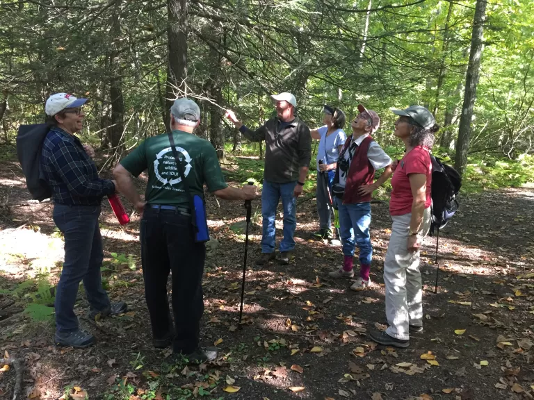Forest Health Walk at Ashland Town Forest