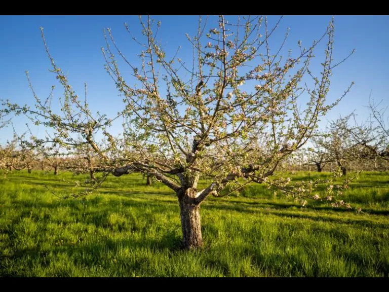 Photo by Louis Calisi