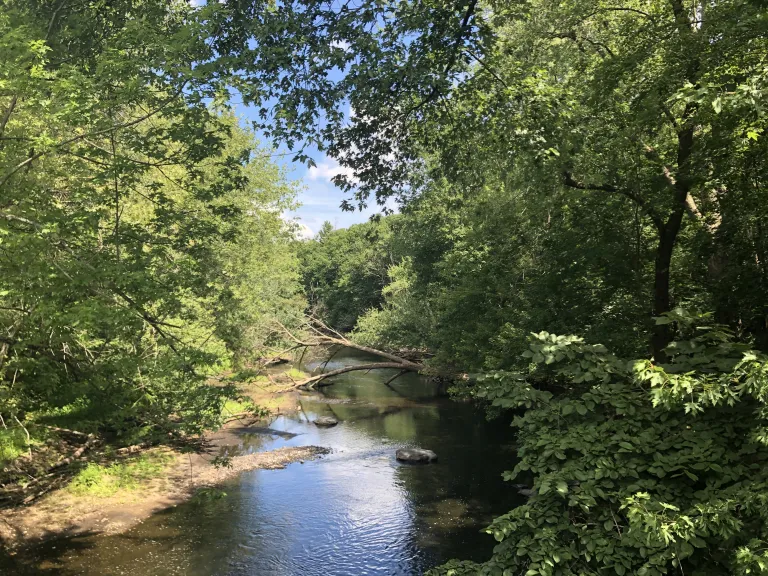 A view of the Assabet River from Assabet River Bluff