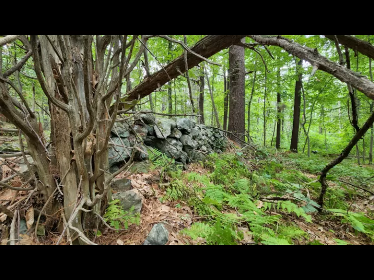 Oechsle Land - August 2022. Photo by SVT Staff.