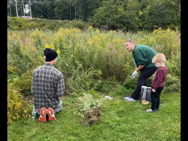Chris Reardon (left) helped pull invasives from the pollinator garden on the Cochituate Rail Trail.