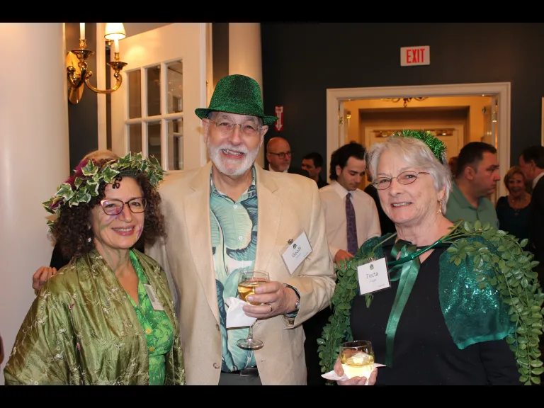 Guests at the Emerald Forest Gala