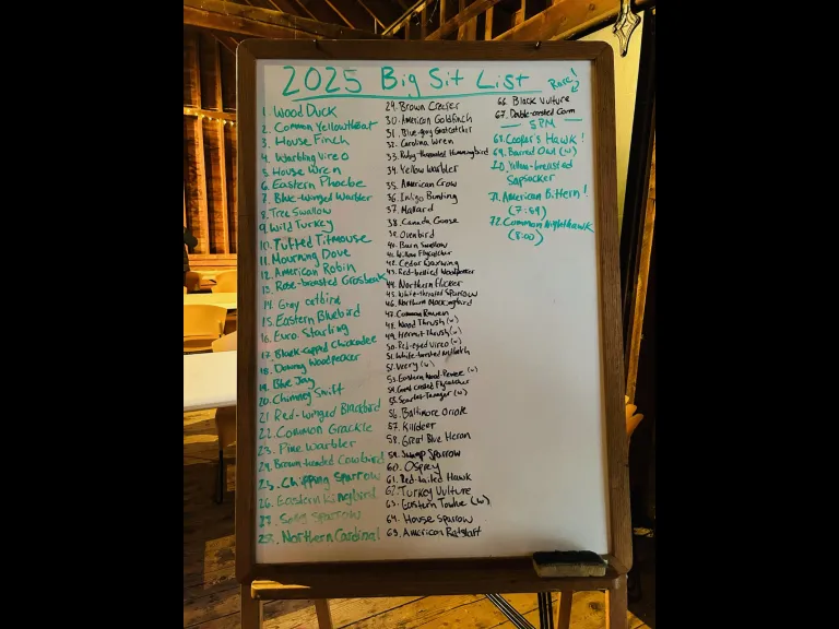 We tallied our Big Sit sightings throughout the day. Photo by SVT Staff.