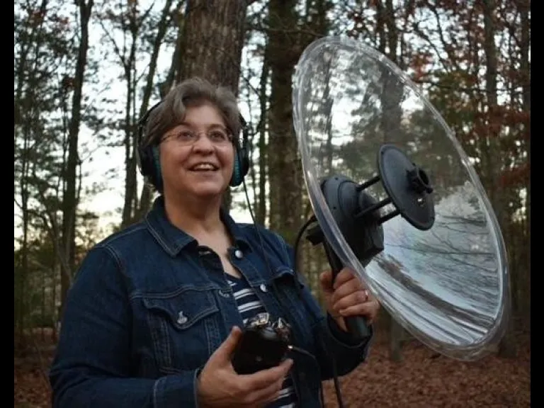 Debbie Blicher, SVT Volunteer Coordinator