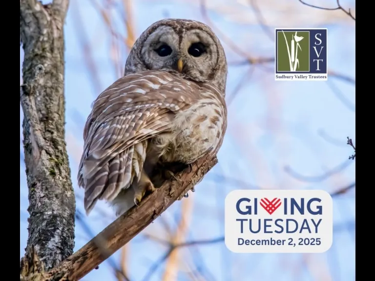 Giving Tuesday for the Trails 2025