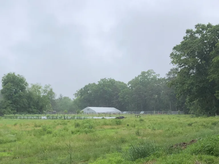 Holliston Community Farm. Photo by SVT Staff.