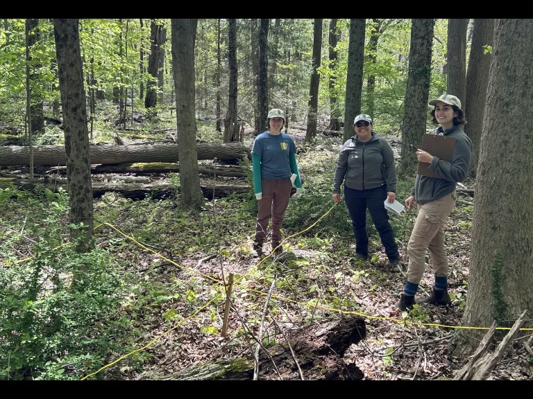 SVT's Elise Brown, Kristin O'Brien, and Jane Maloney led a protocol training session at Cowassock Woods in early May..