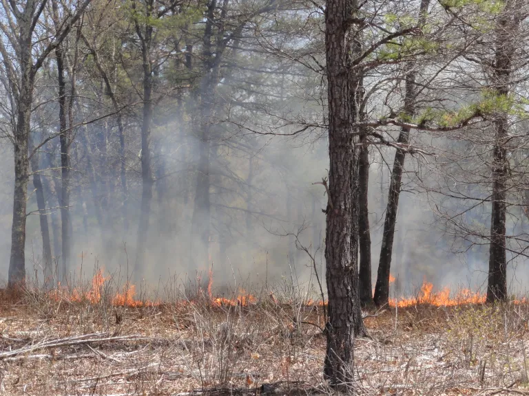 2014 Prescribed Burn at the Desert Natural Area. Photo by SVT.