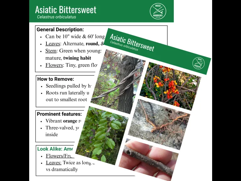 CISMA Weed Warrior Card