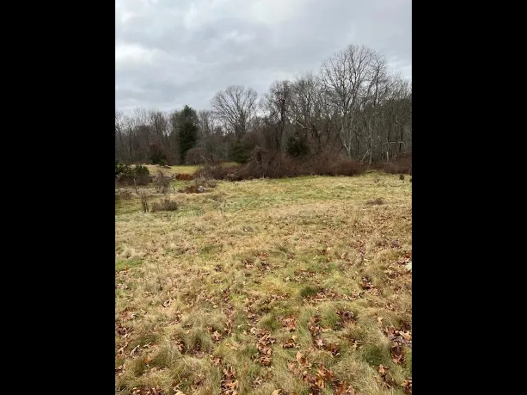 Walker Property Field, Westborough