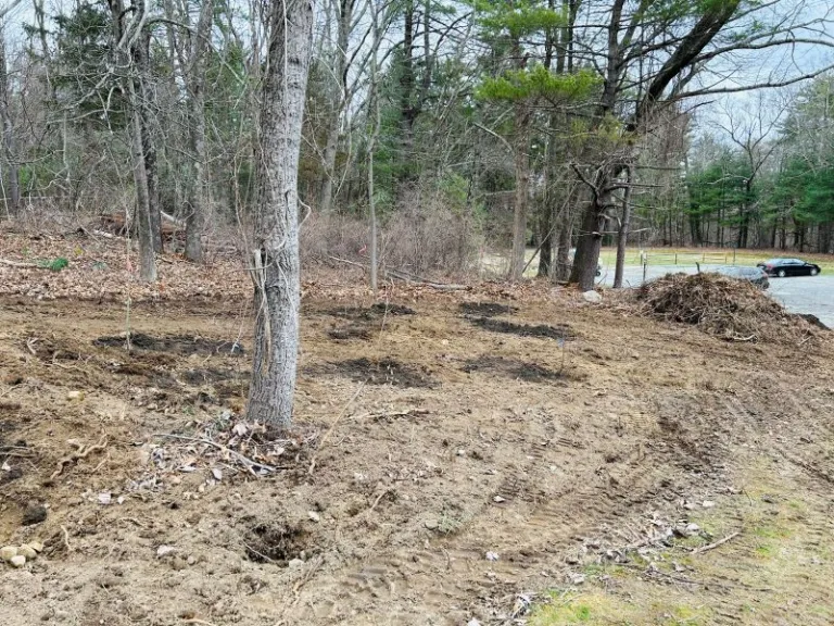 Making space for new plants.