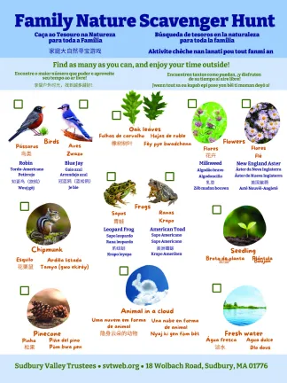 Family Nature Scavenger Hunt in Five Languages