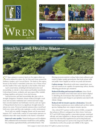 Wren Newsletter Cover Image, April 2026