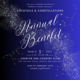 Annual Benefit 2025 Instagram Image