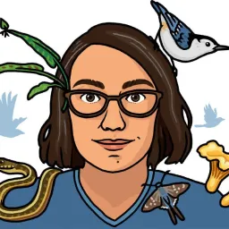 Rosemary Mosco - Illustration