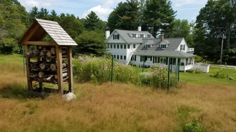 Wolbach Farm Pollinator Meadow
