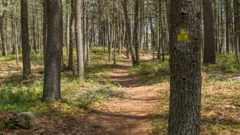 Ralph Hill Trail. Photo by Mark Levinson.