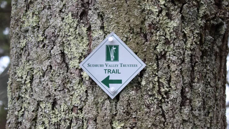 SVT Trail Blazer Sign