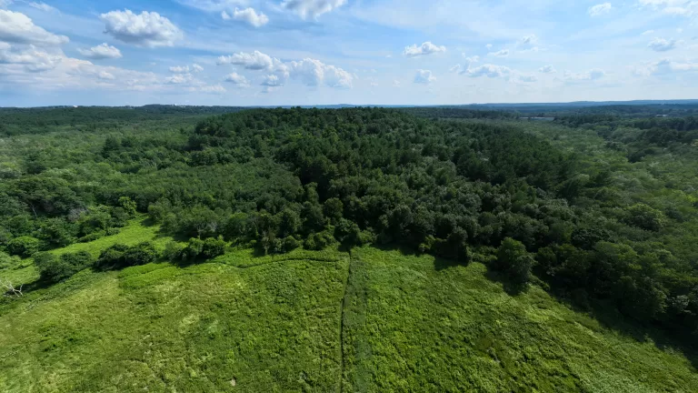 Cedar Hill Vista. Photo by Tom Sullivan.