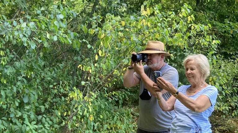 Nature Sightings Banner 